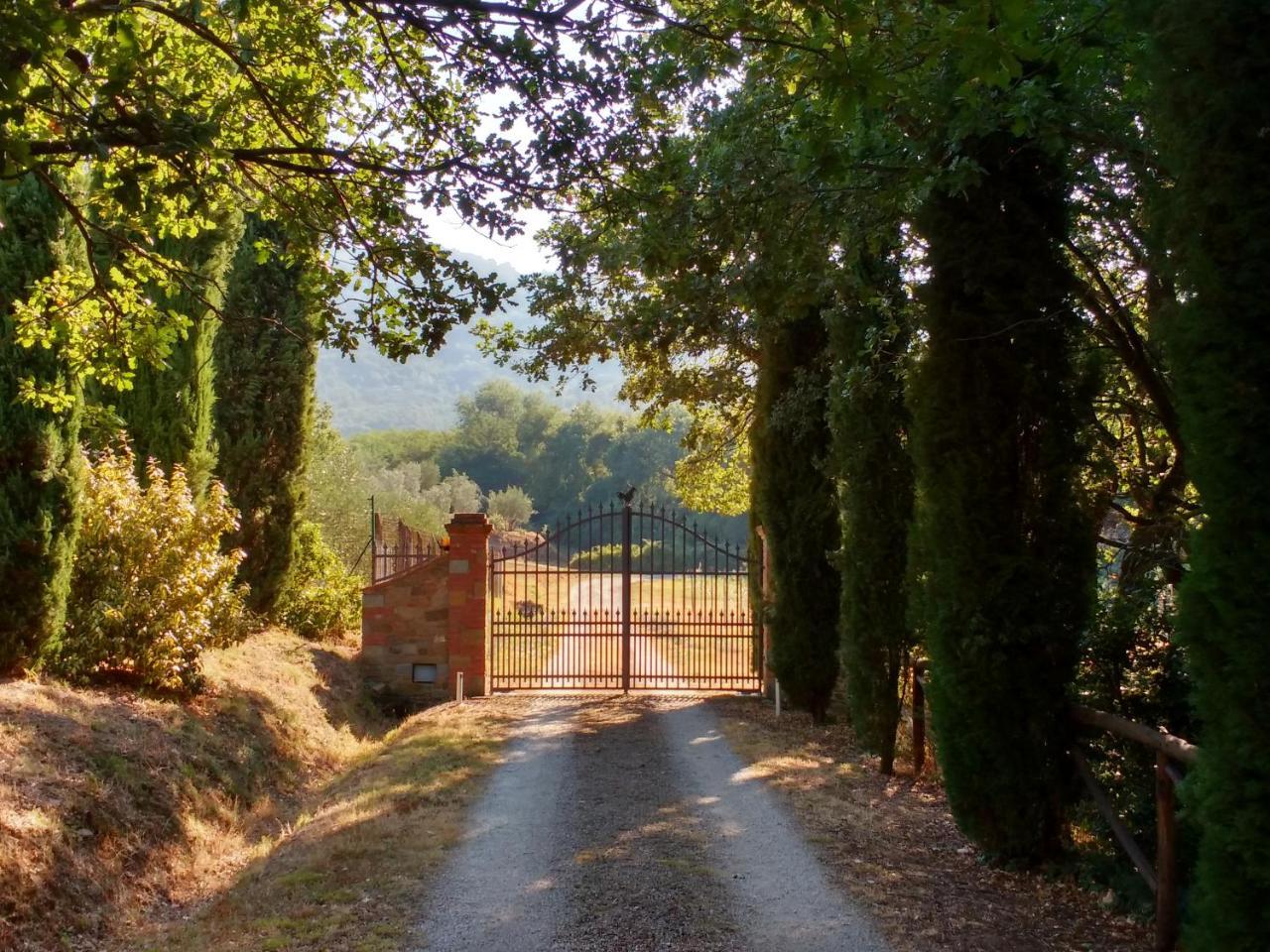 Casale I Burroni Apartment Arezzo Bagian luar foto